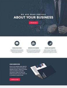 probiz-template